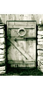 The Shed &reg;