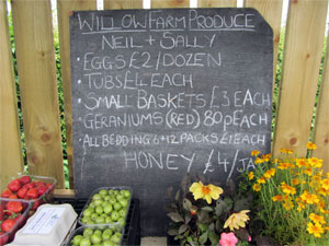 willow_farm_produce_advert Willow Farm Produce, Butterwick, near Brawby, Malton