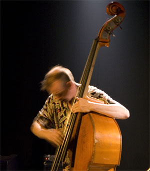 John Edwards - double bass